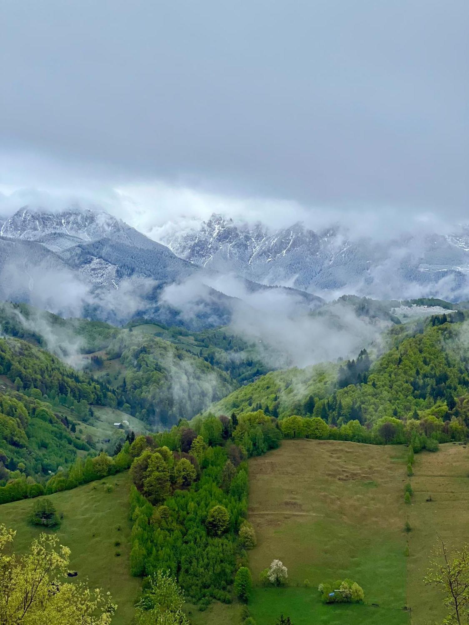 Vila Casa Stelar - A Breathtaking View Moieciu de Jos Exteriér fotografie